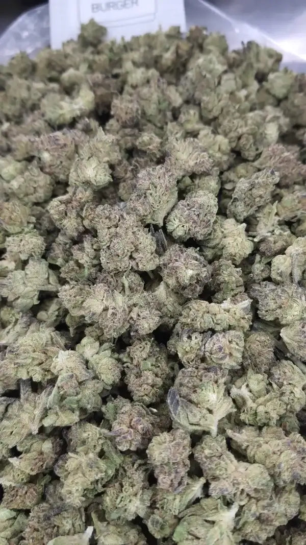 Exotic Hash Burger-Smalls image 2