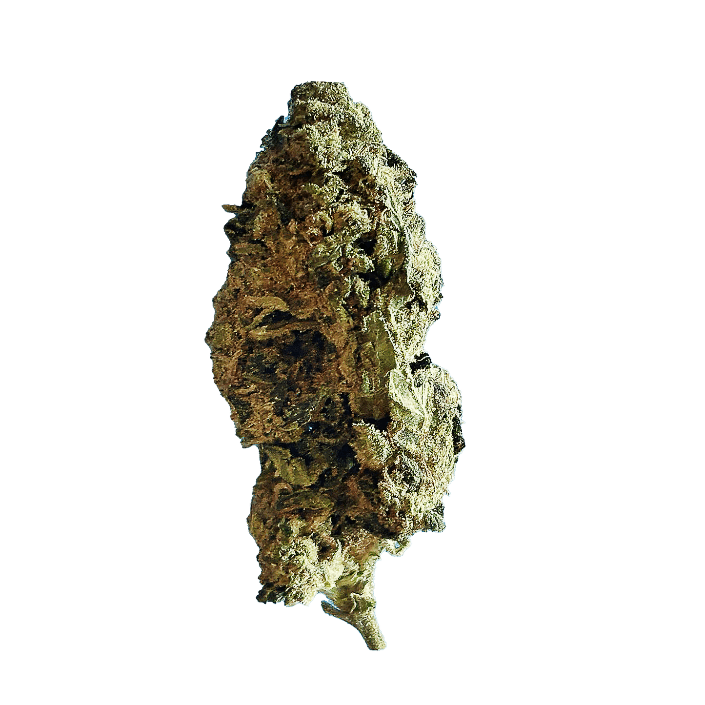 Exotic Grape Gas image 1