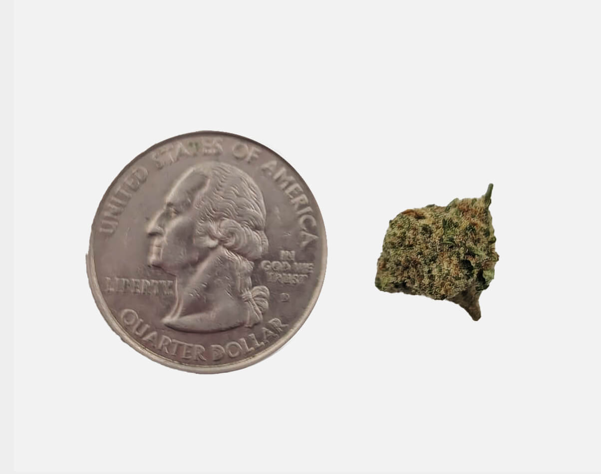 Micro Illemonati Smalls image 2