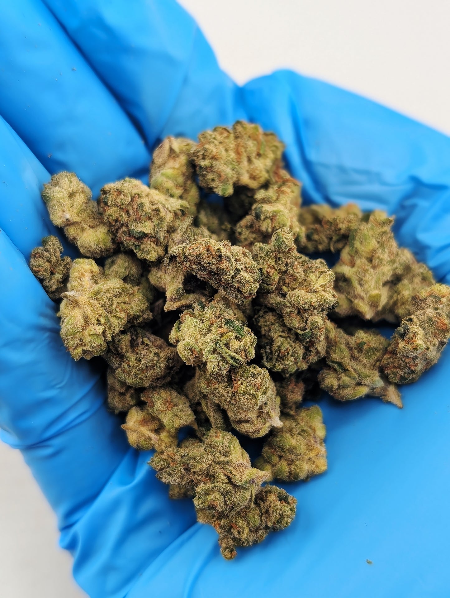 LCG x Girl Scout Cookies Smalls