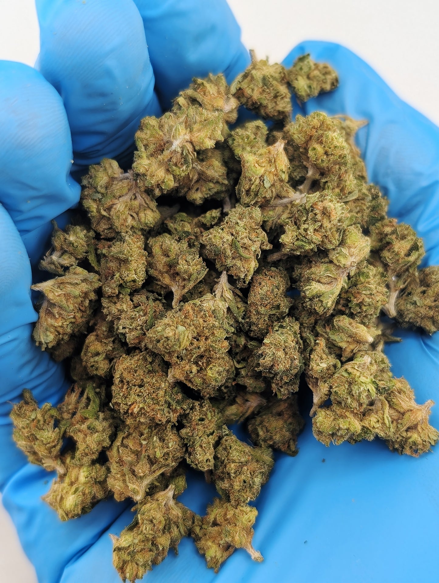 THCA 8ths Smalls Sampler Pack | 5 Strains