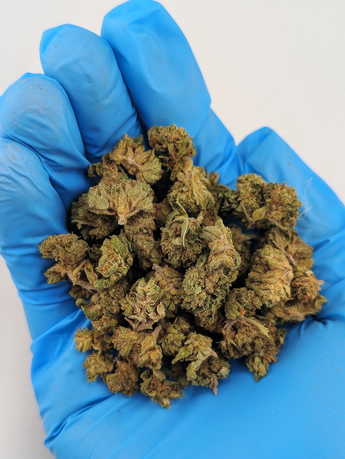 THCA 8ths Smalls Sampler Pack | 5 Strains