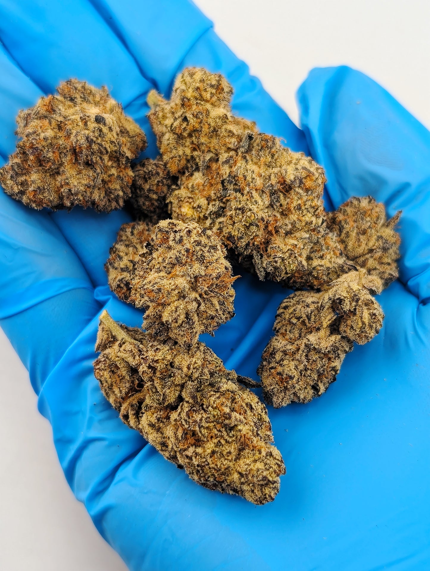 THCA 8ths Sampler Pack | 5 Strains