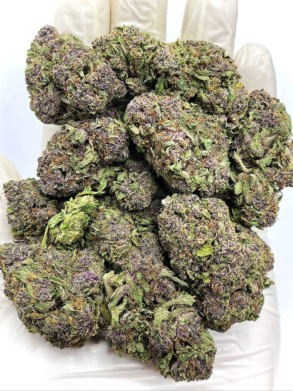 Tropicana Cherry