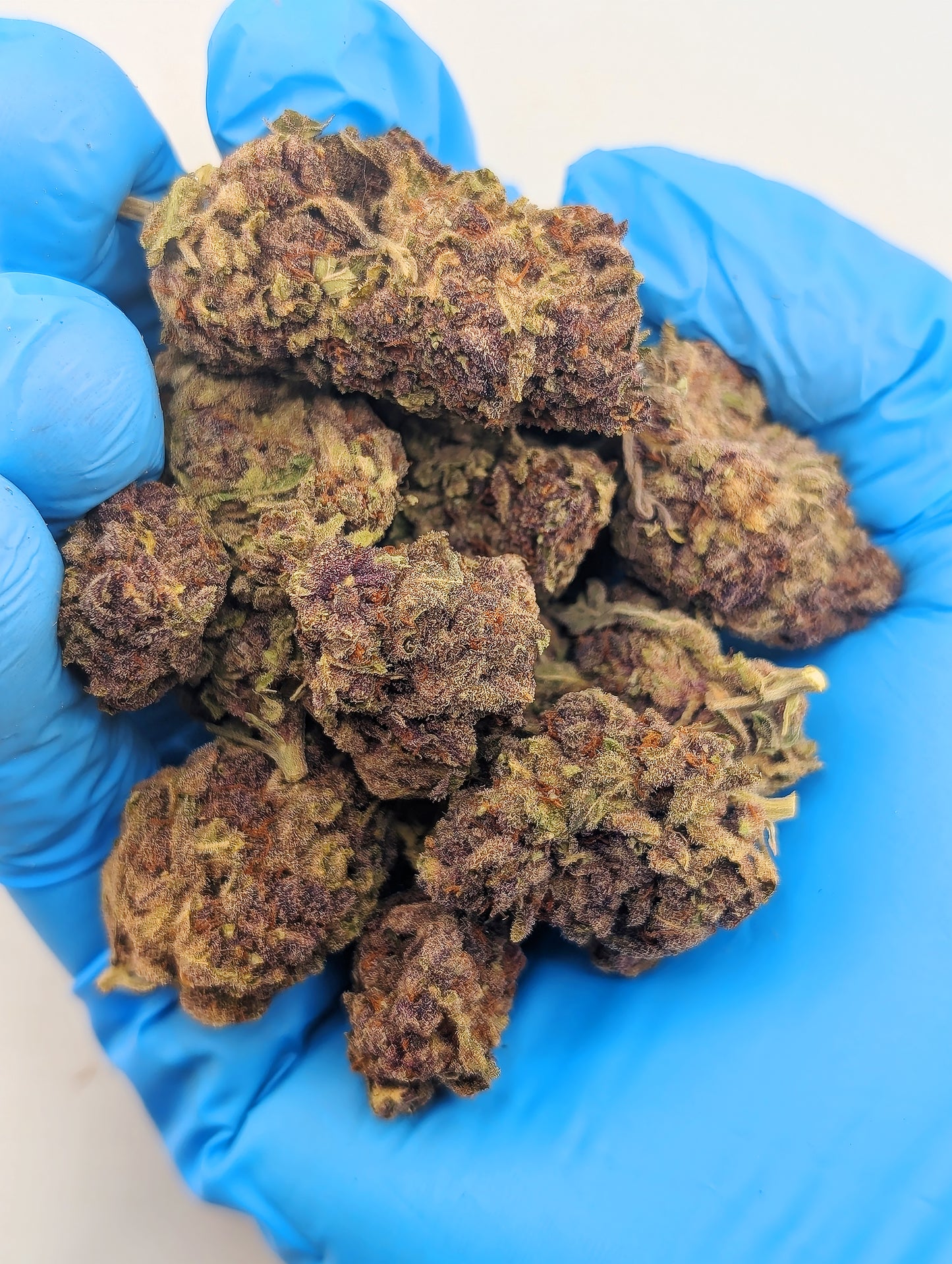 THCA 8ths Sampler Pack | 5 Strains