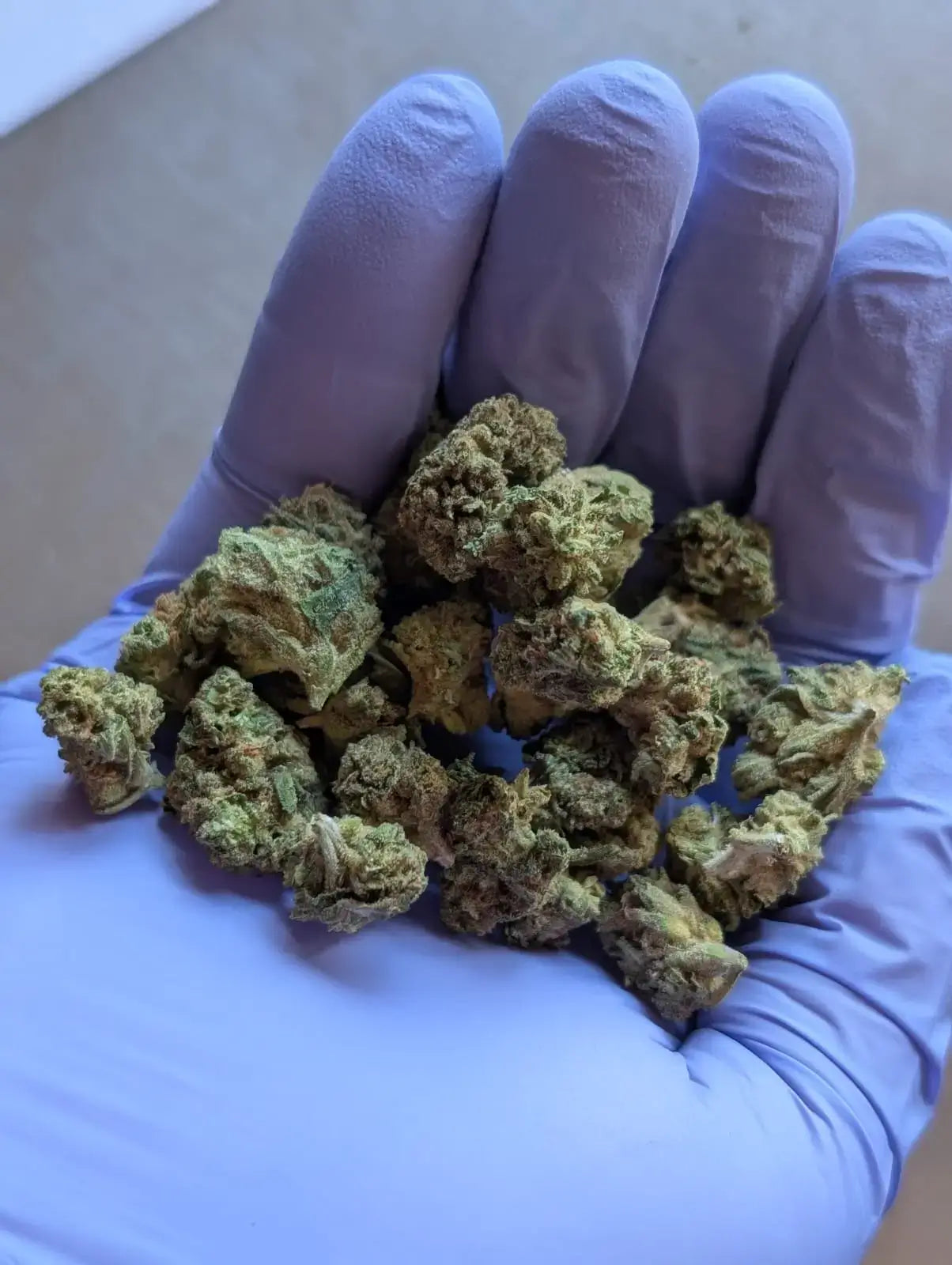 Exotic QP Smalls Sampler Pack image 8