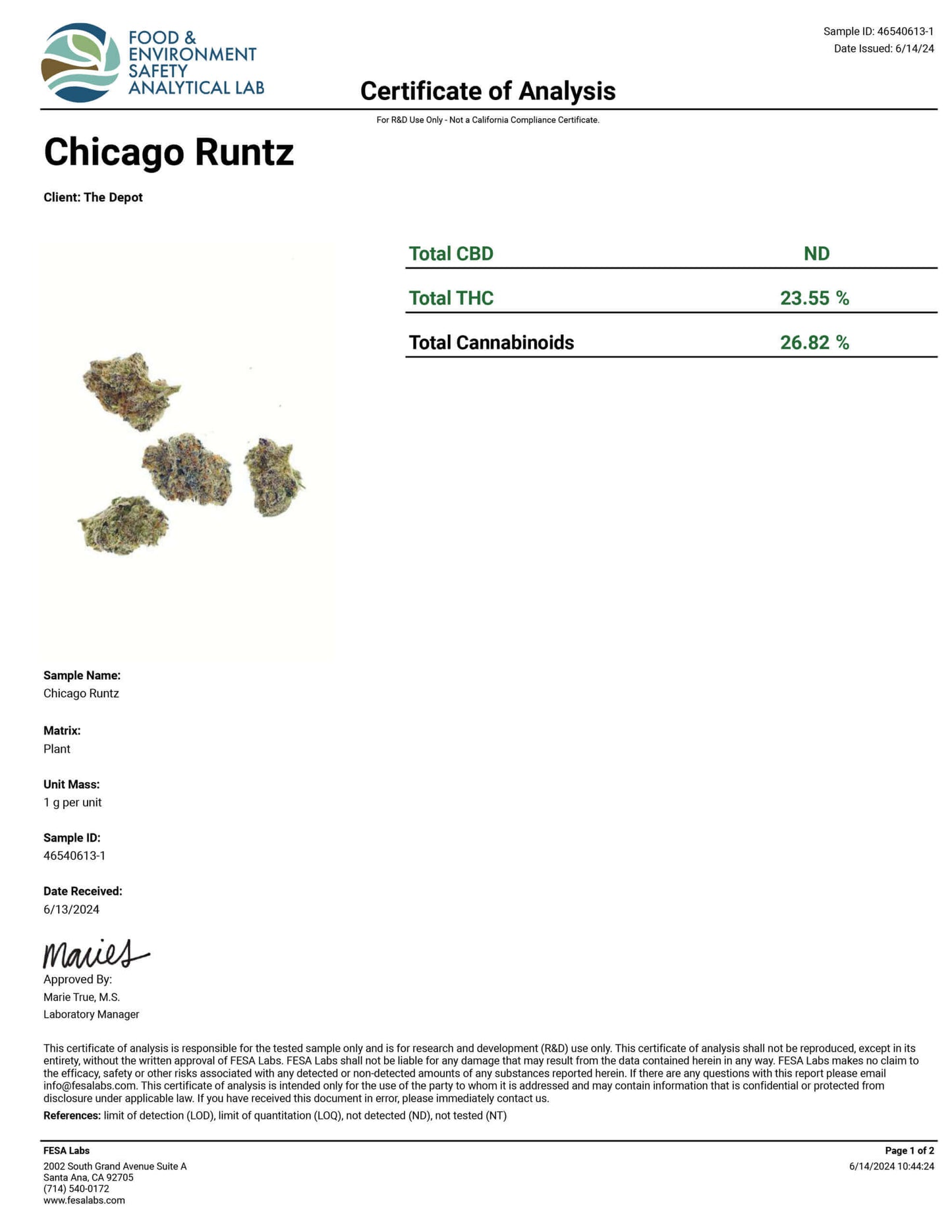 Exotic Chicago Runtz-Smalls image 1