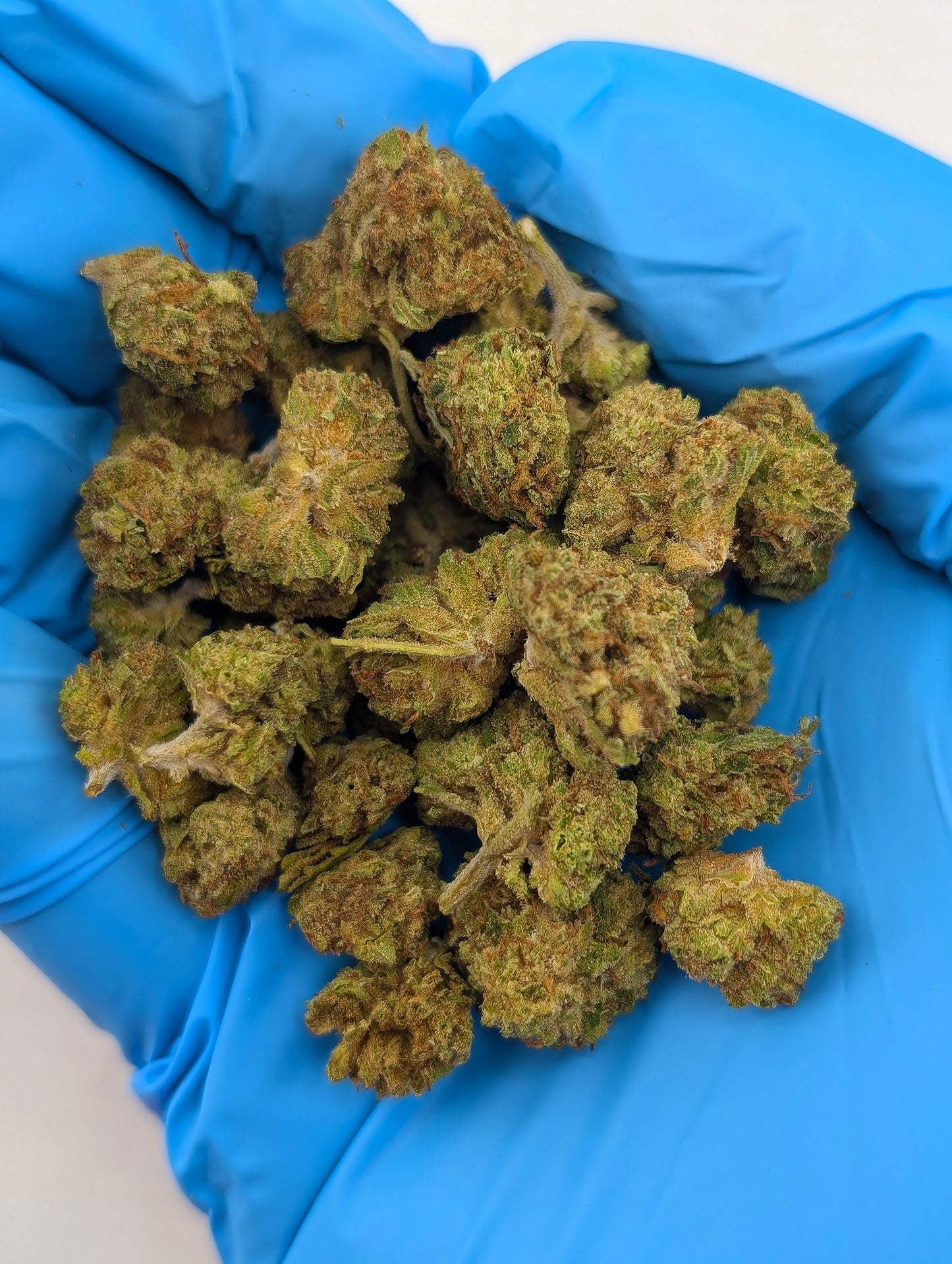 THCA 8ths Sampler Pack | 5 Strains
