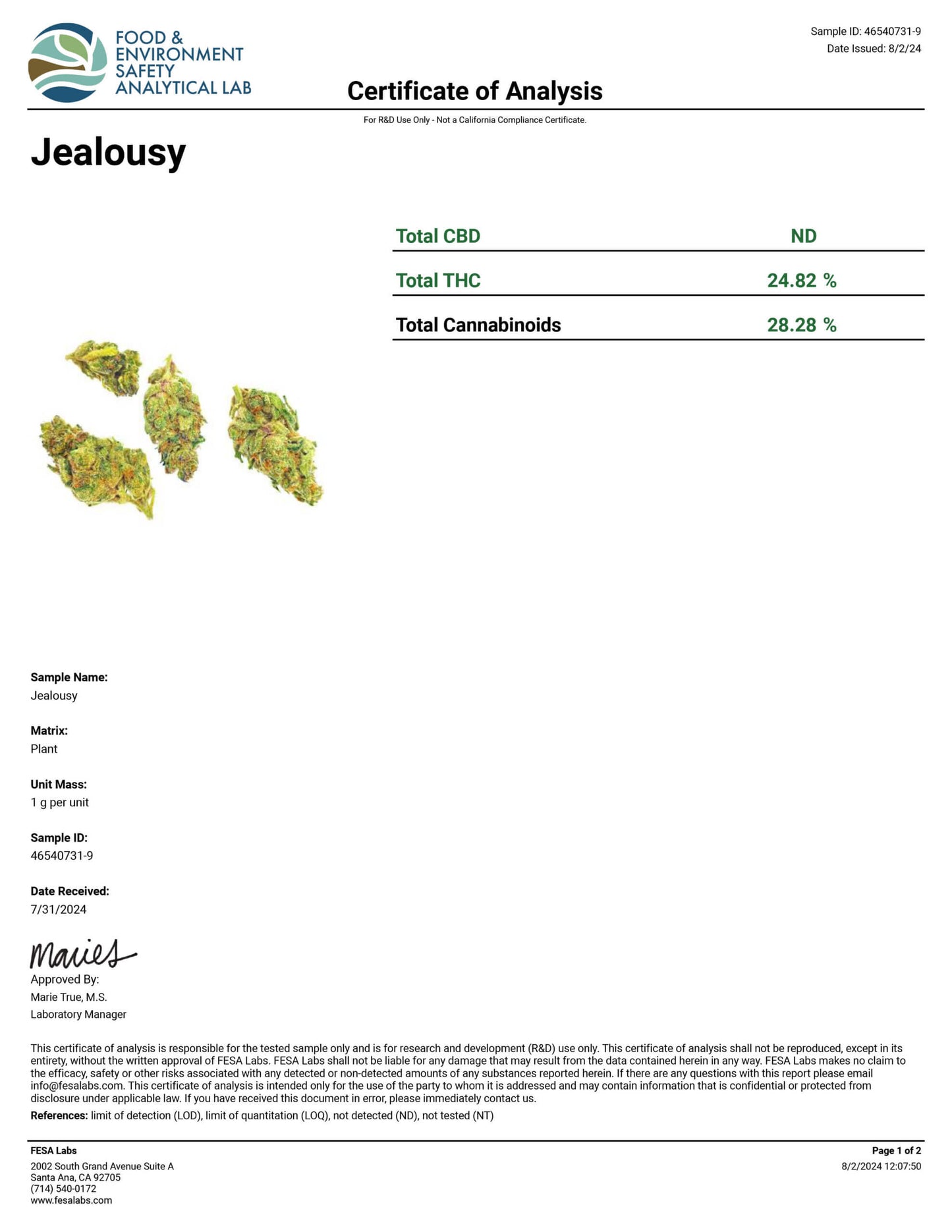 MICRO SMALLS Jealousy Smalls image 3