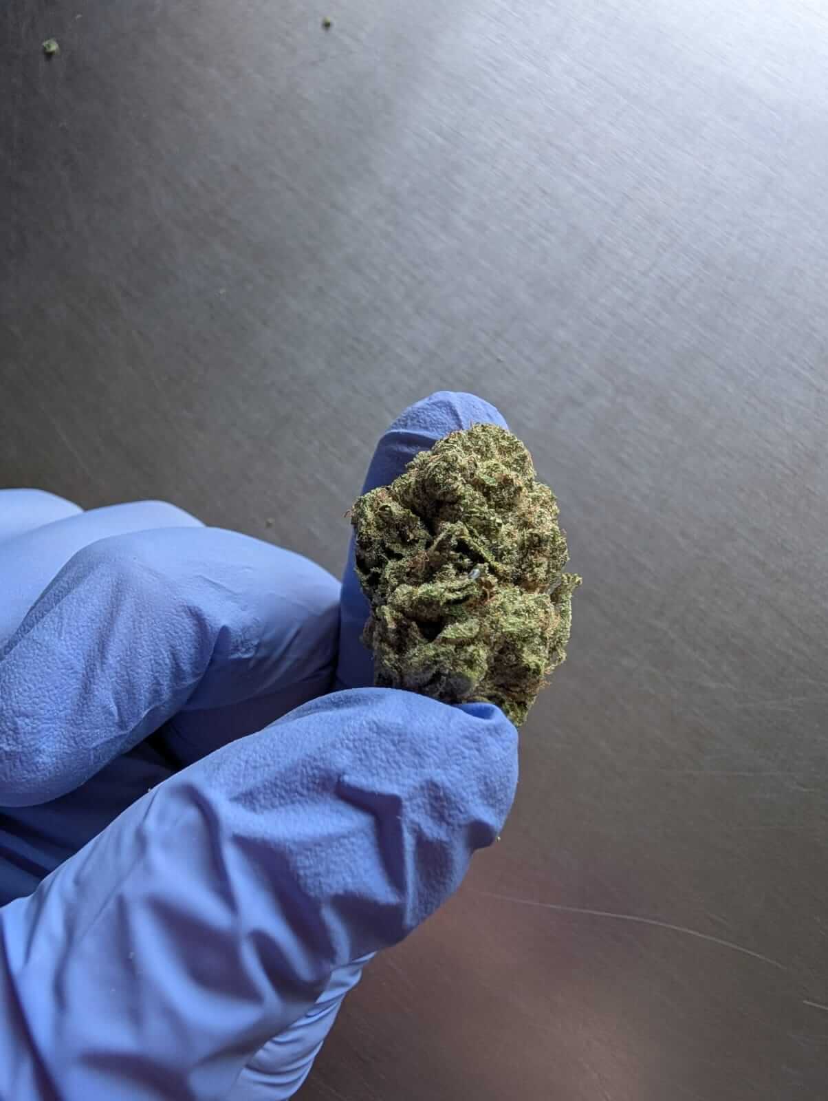 Exotic OG Kush image 2