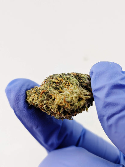 Exotic Garlic Cookies AKA GMO image 2