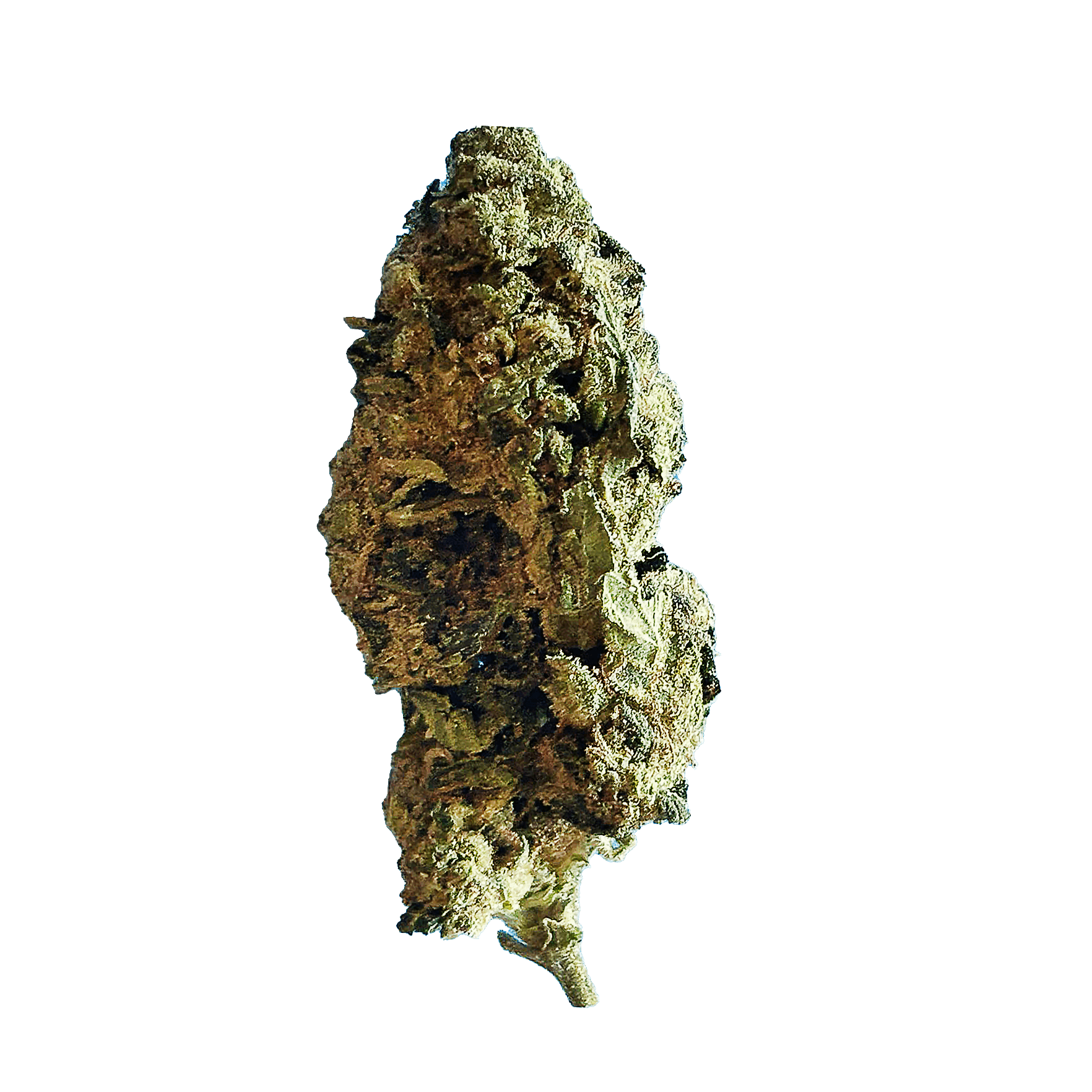 Exotic Grape Gas image 1