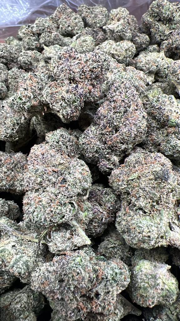 Exotic Lemon Cherry Gelato image 1
