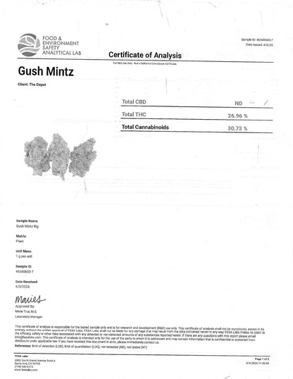 Gush Mintz