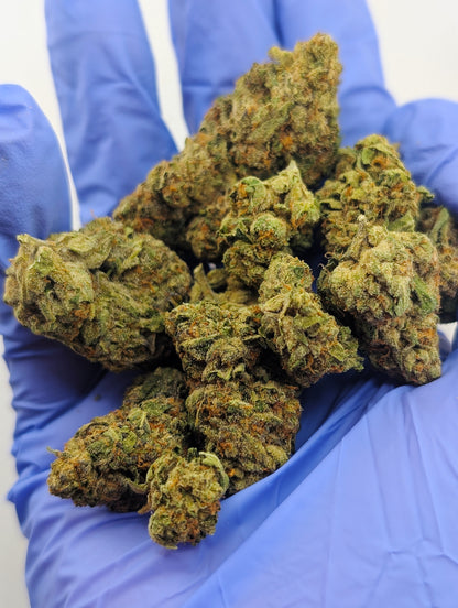 Durban Poison (Med)