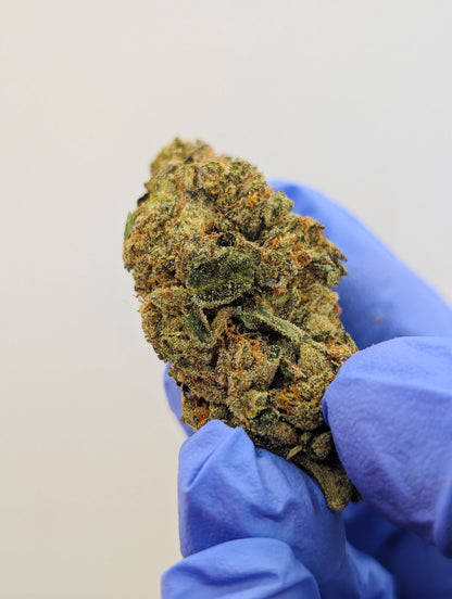 Durban Poison (Med)