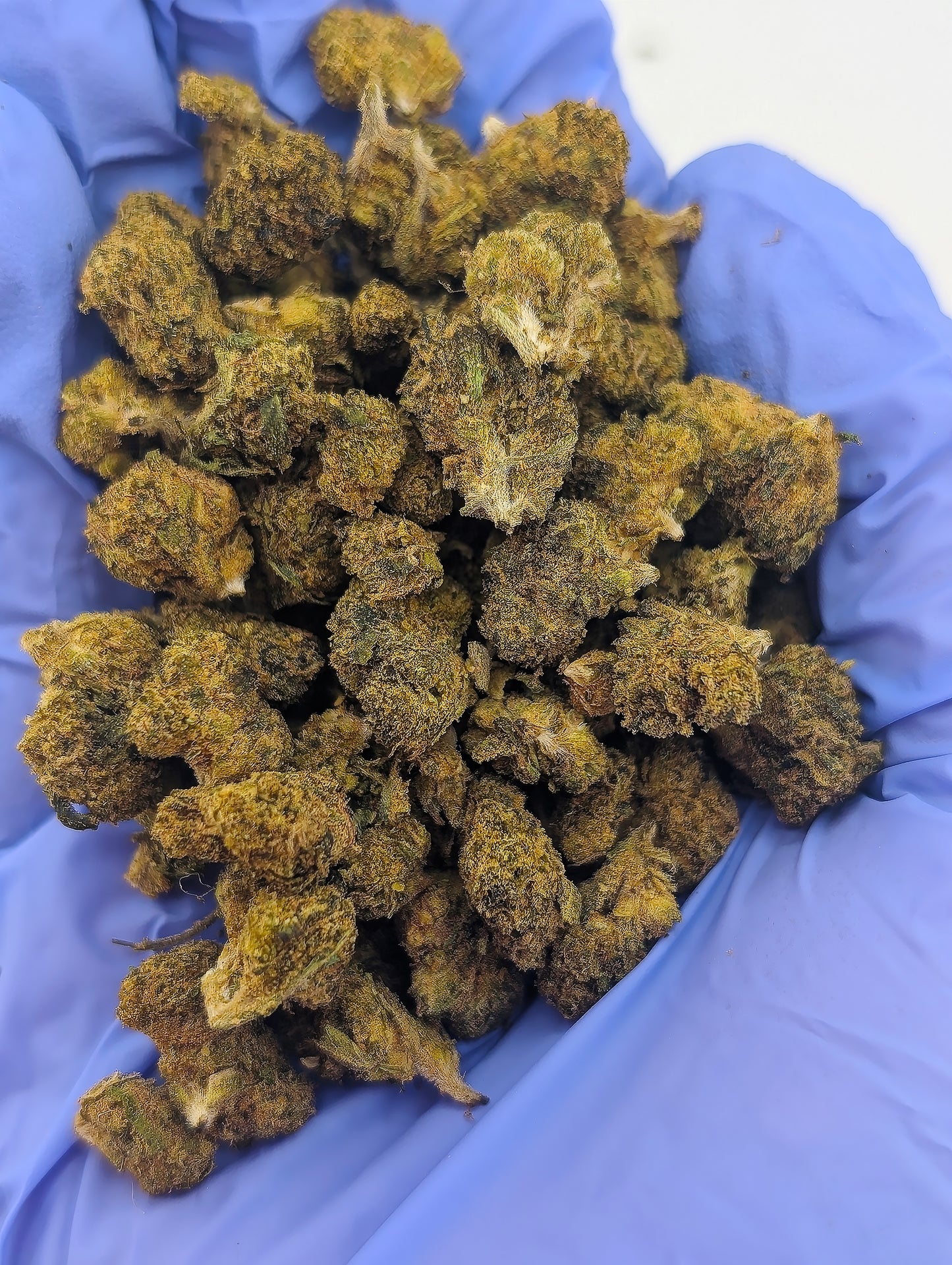 Grape Gas Smalls