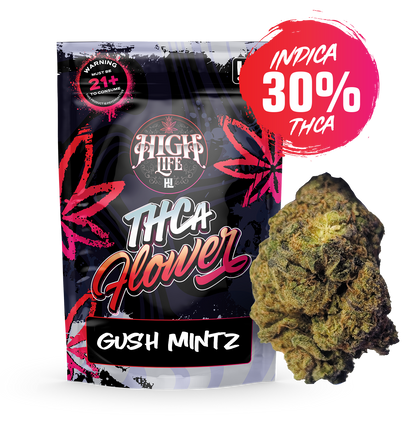 Gush Mintz