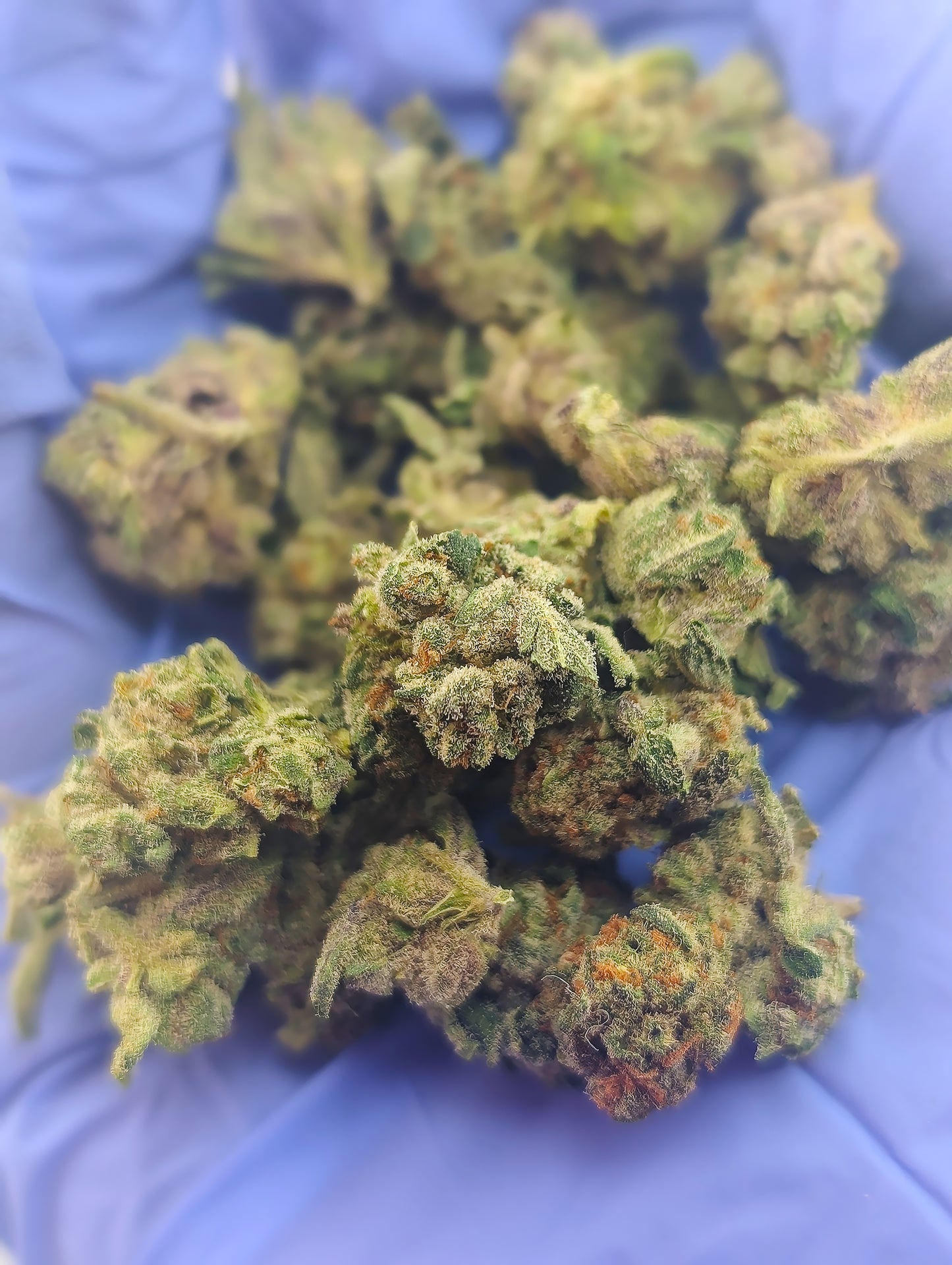 Sour Joker Smalls