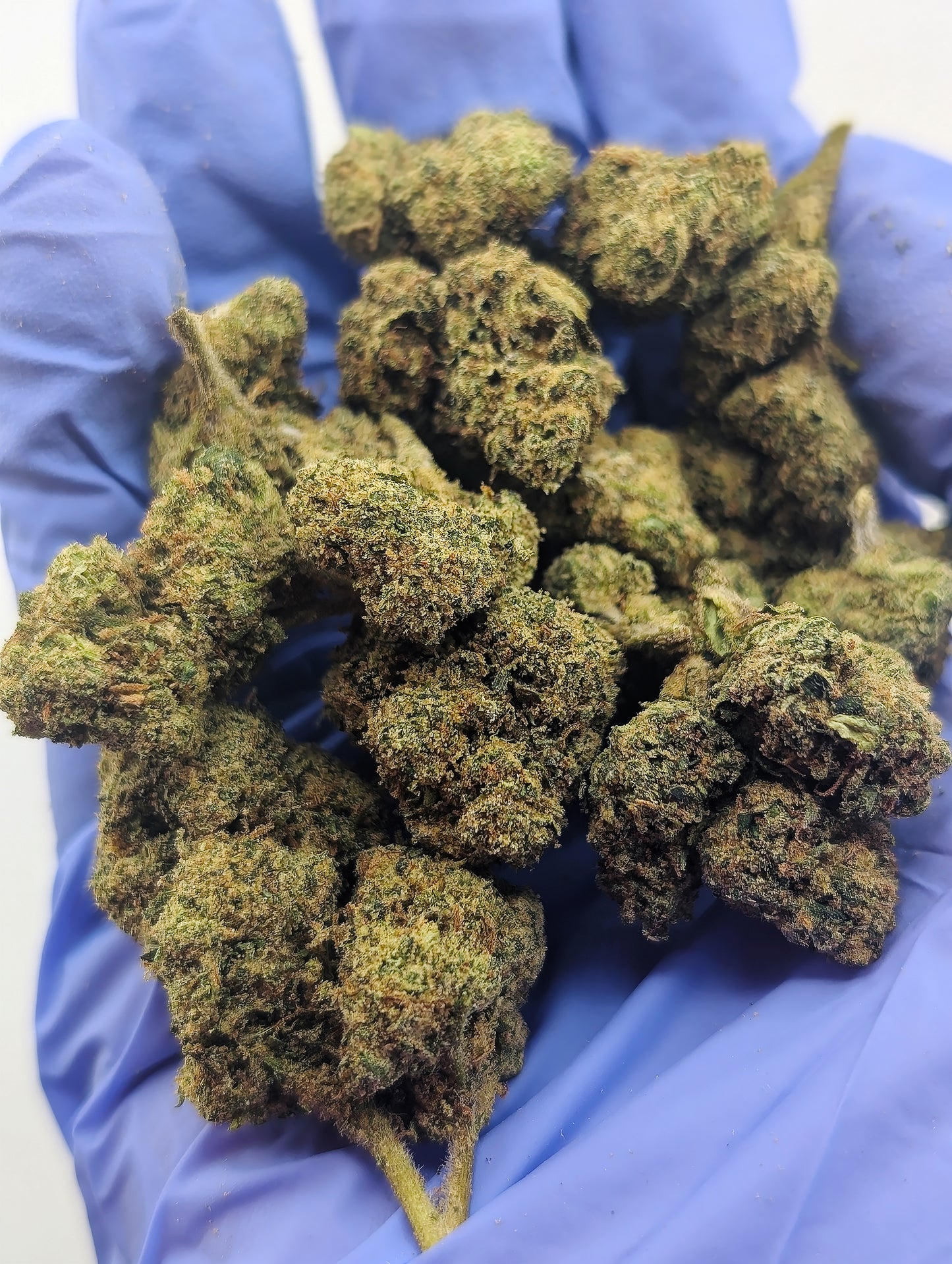 Gelato 33 Smalls